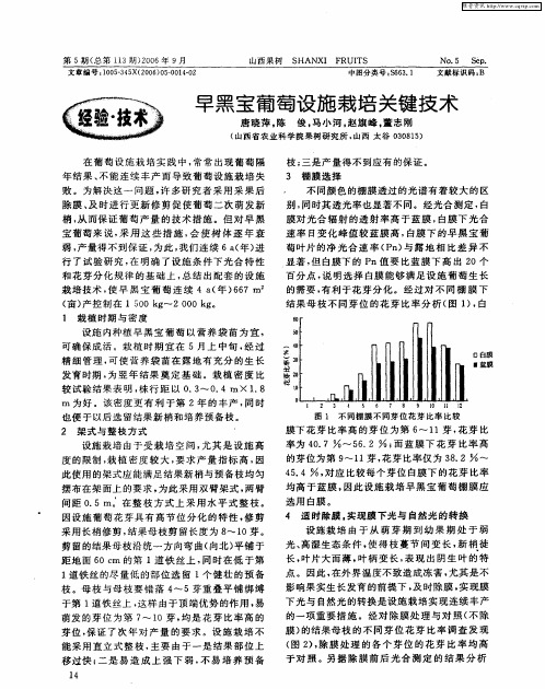 早黑宝葡萄设施栽培关键技术