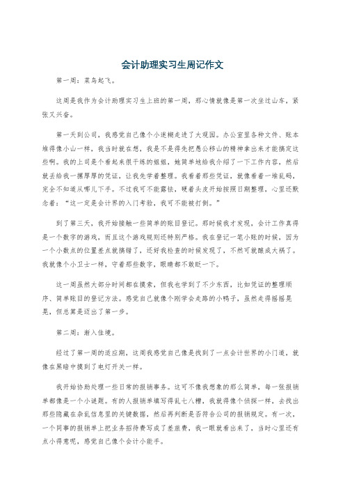 会计助理实习生周记作文