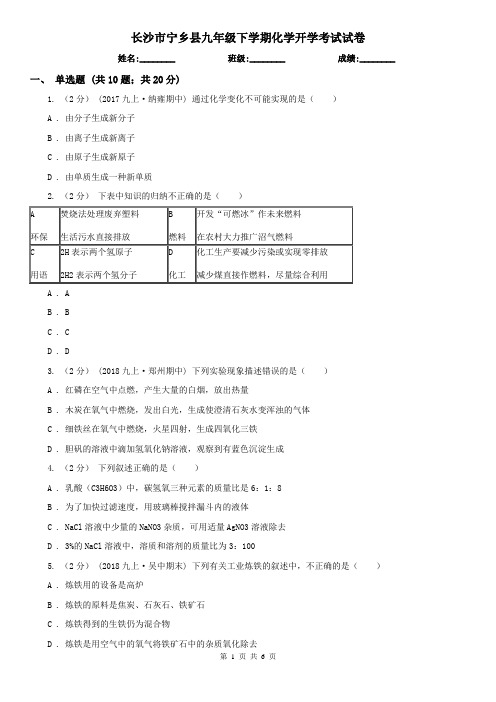 长沙市宁乡县九年级下学期化学开学考试试卷