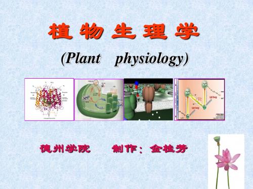 植物生理学绪论