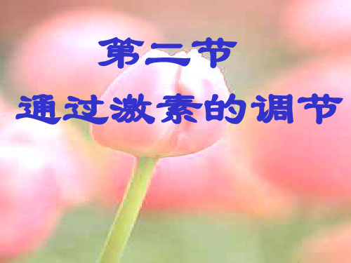 通过激素的调节PPT教学课件