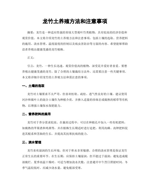 龙竹土养殖方法和注意事项