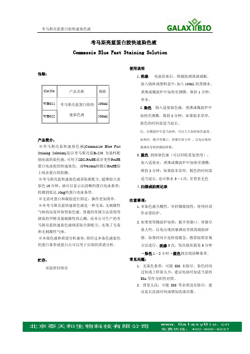 考马斯亮蓝蛋白快速染色液