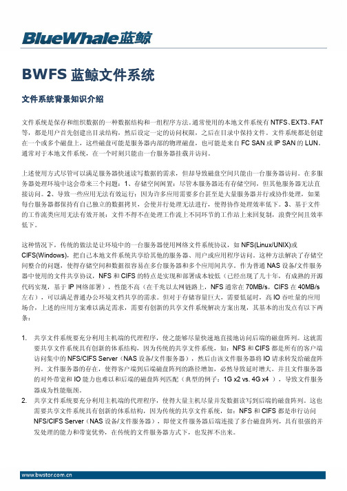 BWFS文件系统