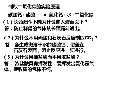 二氧化碳的性质