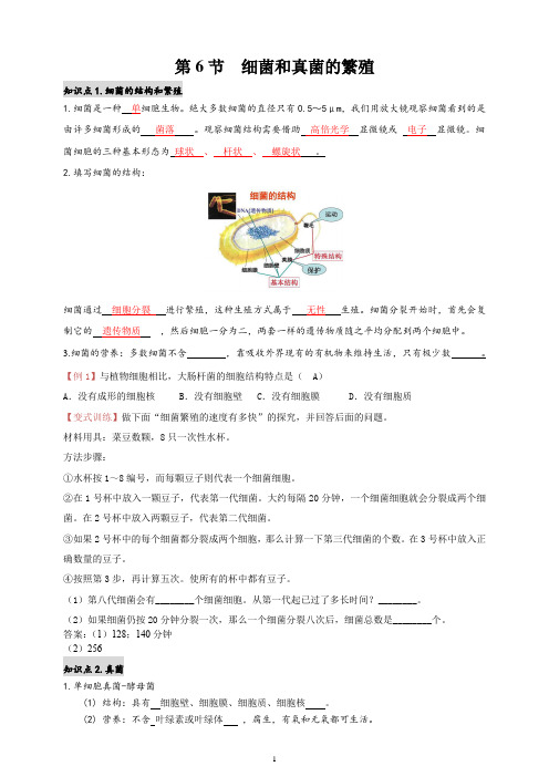 浙教版科学七下第一章第6节细菌和真菌的繁殖(答案)