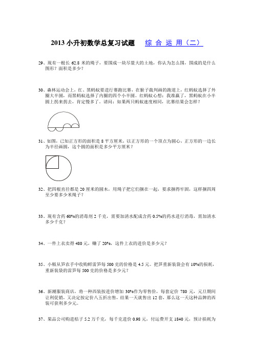 2013小升初数学总复习试题   综 合 运 用(二)