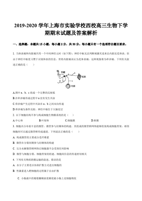 2019-2020学年上海市实验学校西校高三生物下学期期末试题及答案解析