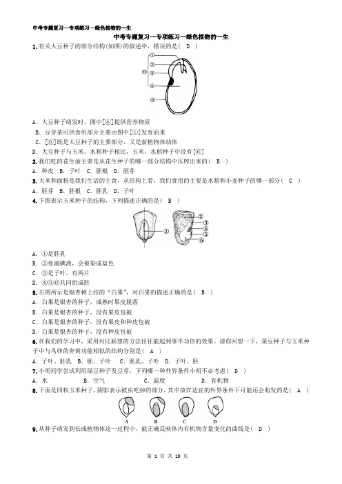 初中生物中考复习—3绿色植物的一生——有答案