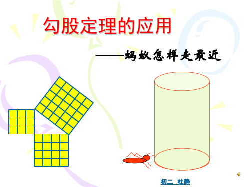 蚂蚁怎样走最短