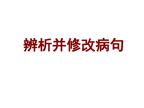 高考语文试题病句错题分类汇编 课件 (共70张PPT)