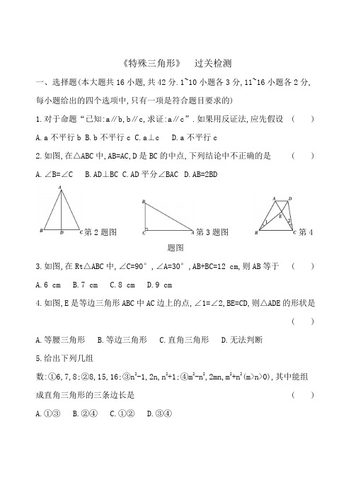 2020年九年级数学中考专题复习《特殊三角形》过关检测(Word版附答案)