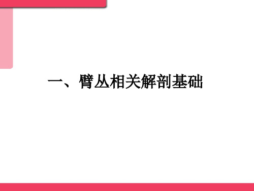 超声引导下臂丛神经阻滞PPT课件