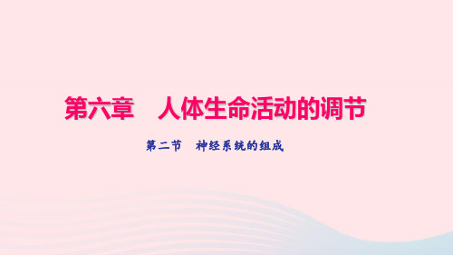 七年级生物下册第四单元第六章第二节神经系统的组成习题课件(新版)新人教版