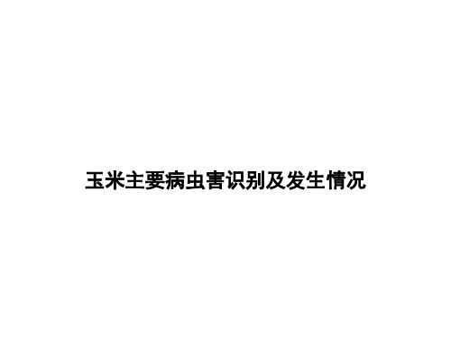 玉米主要病虫害识别及发生情况