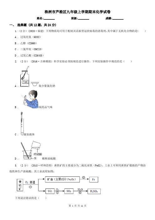 株洲市芦淞区九年级上学期期末化学试卷