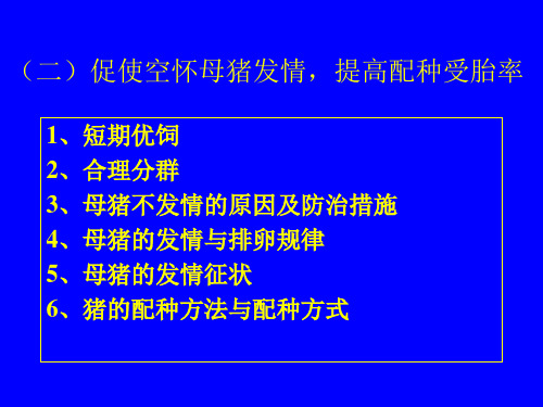 空怀母猪的饲养管理