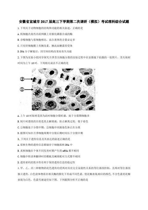 安徽省宣城市2017届高三第二学期第二次调研(模拟)考试理综试卷