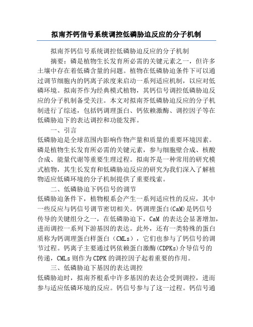 拟南芥钙信号系统调控低磷胁迫反应的分子机制