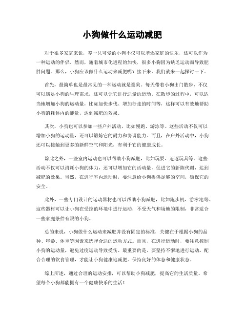 小狗做什么运动减肥