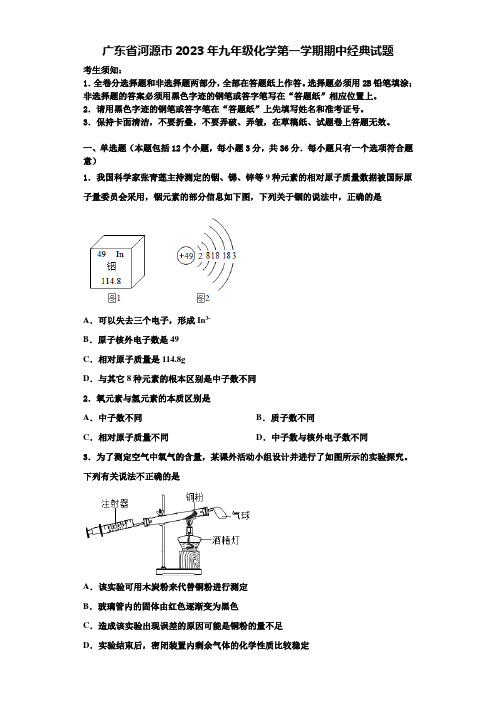 广东省河源市2023年九年级化学第一学期期中经典试题含解析