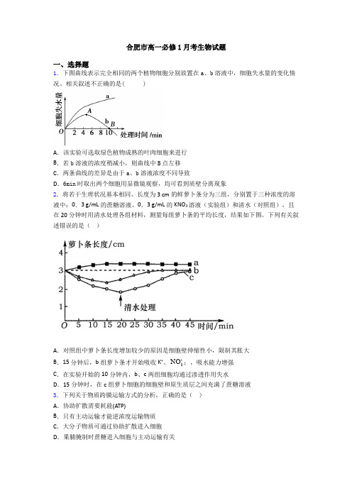 合肥市高一必修1月考生物试题