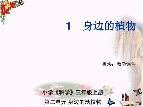 三年级科学上册2.1身边的植物PPT课件2湘教版