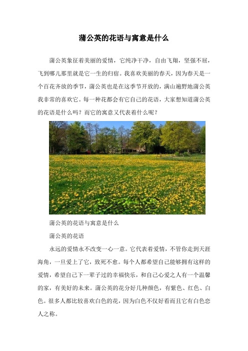 蒲公英的花语与寓意是什么