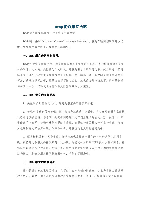 icmp 协议报文格式