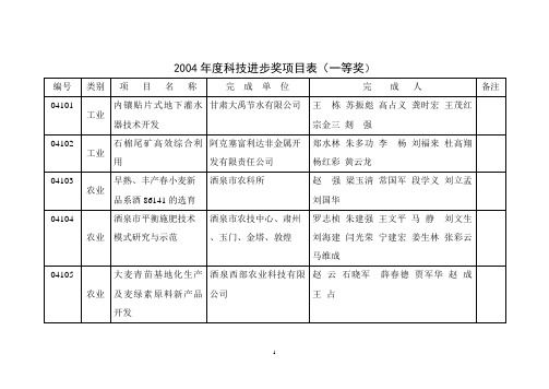 2004科技进步奖项目表一等奖