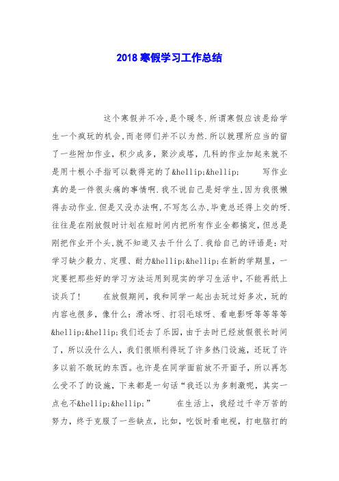 2018寒假学习工作总结