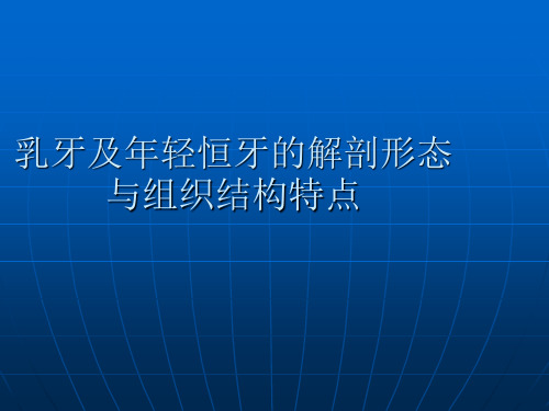 【儿童口腔医学PPT】  乳牙及年轻恒牙的解剖形态与组织结构特点