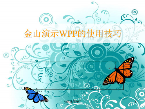 wps的使用技巧讲解ppt课件