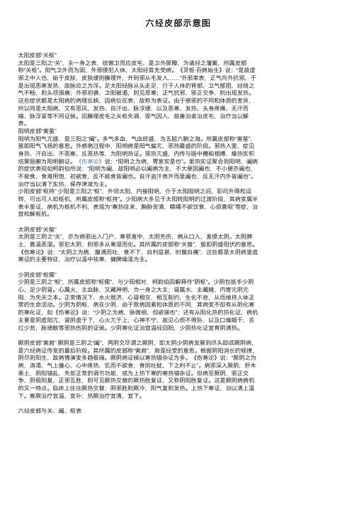 六经皮部示意图