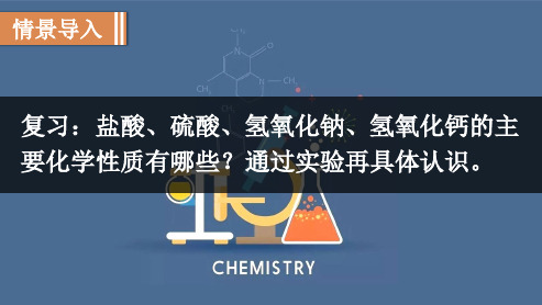 人教版九年级化学下册10.4实验活动7溶液酸碱性的检验课件共9张PPT