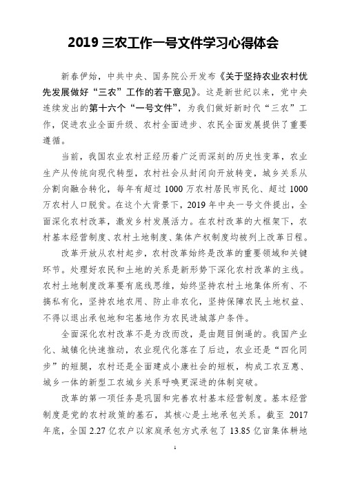 学习贯彻2019中央一号文件心得感悟一