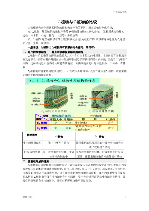 C4植物与C3植物的比较