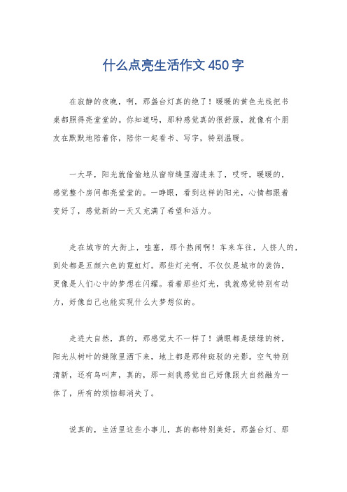 什么点亮生活作文450字