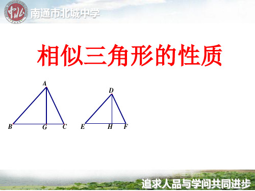 相似三角形的性质 (PPT课件)