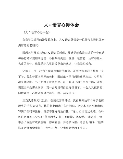 大c语言心得体会