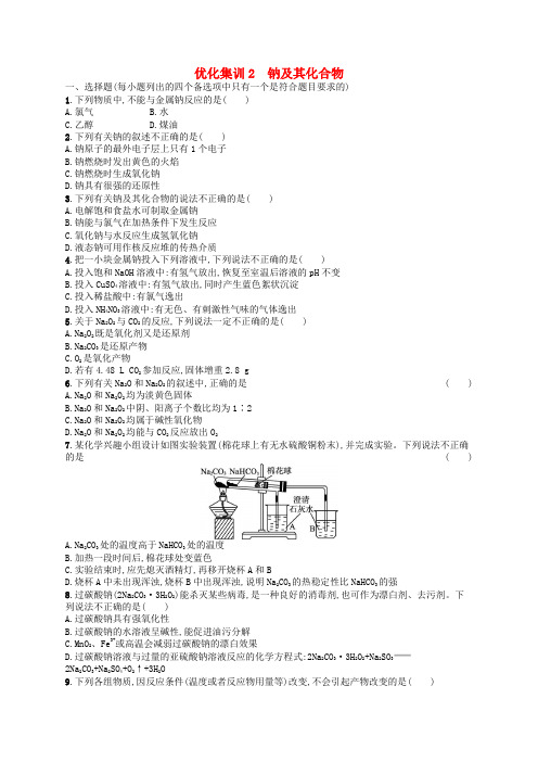 2024高考化学基础知识综合复习优化集训2钠及其化合物