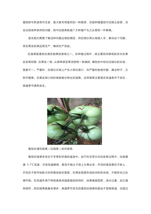 番茄拉链果防治办法