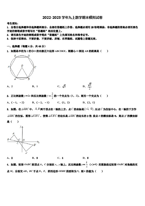 北京市海淀区一零一中学2022-2023学年数学九年级第一学期期末考试试题含解析