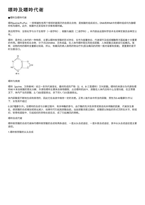 嘌呤及嘌呤代谢