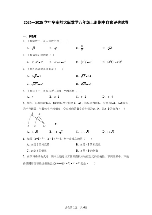 2024--2025学年华东师大版数学八年级上册期中自我评估试卷