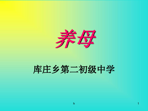 北师大版语文七上《养母》ppt课件