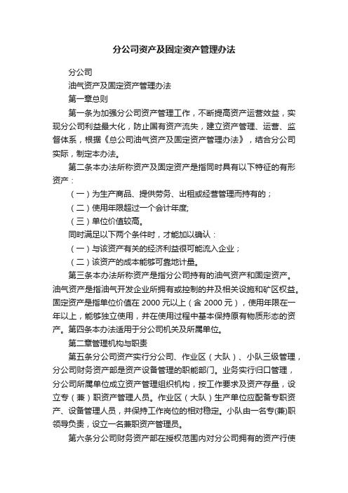 分公司资产及固定资产管理办法