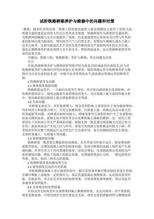 试析铁路桥梁养护与维修中的问题和对策