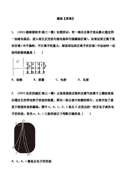 2021届高考物理三轮冲刺专题突破训练: 磁场(解析版)
