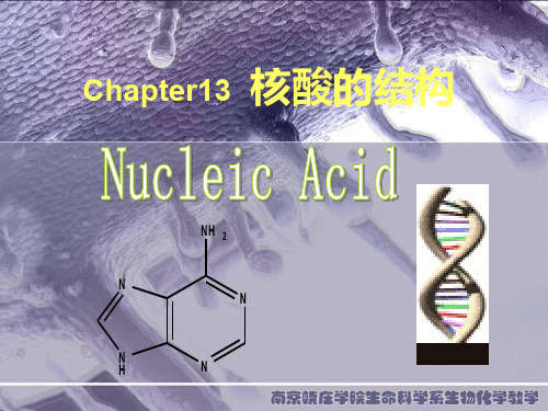 生物化学 第13章 核酸结构